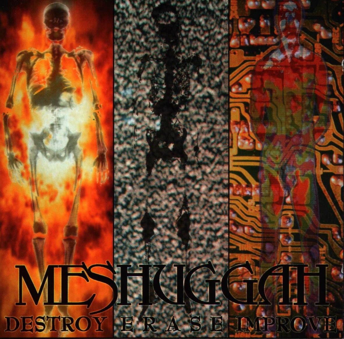 Destroy Erase Improve (Ed. Aniversario)